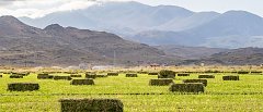 Πότε θα χορηγηθούν de minimis μηδικής, πότε ολοκληρώνεται αξιολόγηση Νέων Αγροτών και θα γίνουν πληρωμές
