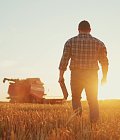 Πρέπει να προσέχει η ΑΑΔΕ τι οδηγίες δίνει, αναμένεται νέα εγκύκλιος για το ΟΣΔΕ του 2026