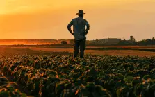 Νέοι έλεγχοι στο φετινό ΟΣΔΕ, μεταβατικό στάδιο το 2025 για κτηνοτρόφους, από το 2026 κατάθεση αιτήσεων την άνοιξη