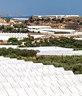 Τι σημαίνει η υψηλή αγωγιμότητα για τα φυτά του θερμοκηπίου και πώς προσαρμοζόμαστε.