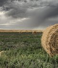 Πότε πληρώνεται το de minimis στην μηδική, τα ποσά θα είναι αφορολόγητα και ακατάσχετα