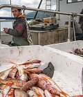 Συνεχίζουν τις κινητοποιήσεις τους οι αλιείς αν και το ΥπΑΑΤ ανακοίνωσε ότι διπλασιάζεται η επιδότηση αλιευτικού πετρελαίου