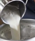 Καθορίστηκαν οι ενισχύσεις ανά τόνο γάλακτος στα μικρά νησιά του Αιγαίου για την παραγωγή τυριών και γιαούρτης