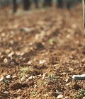 Ειδική ρύθμιση για τους αγρότες και κτηνοτρόφους που επλήγησαν από τον Daniel