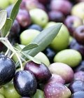 Διαμαρτυρία στην Τρίπολη από ελαιοπαραγωγούς της Πελοποννήσου, καταγγέλλουν ότι οι τιμές είναι κάτω του κόστους
