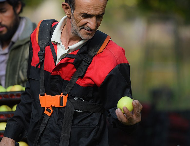 Ψηφιακό δελτίο αποστολής: Τι ισχύει για αγρότες και πωλητές υπαίθριου εμπορίου – Διευκρινίσεις και υποχρεώσεις ανά κατηγορία