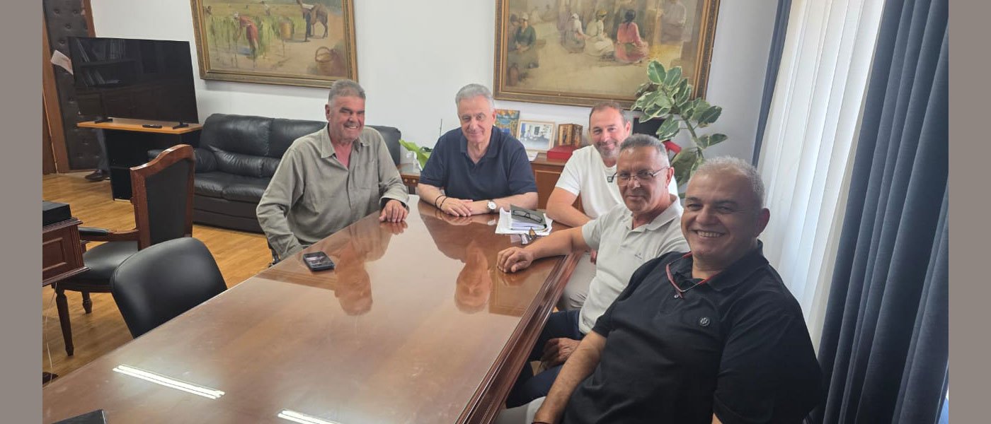 Χολστάιν