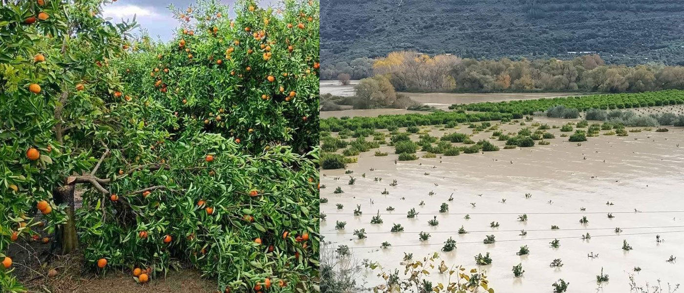 Αρμαγεδδών στην Ήπειρο: Σε χειρότερη μοίρα οι παραγωγοί της Θεσπρωτίας από τις πλημμύρες