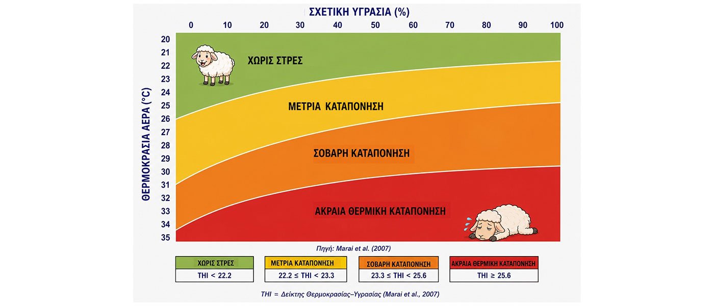 Θερμικό στρες σε πρόβατα και αίγες: επιπτώσεις και στρατηγικές πρόληψης