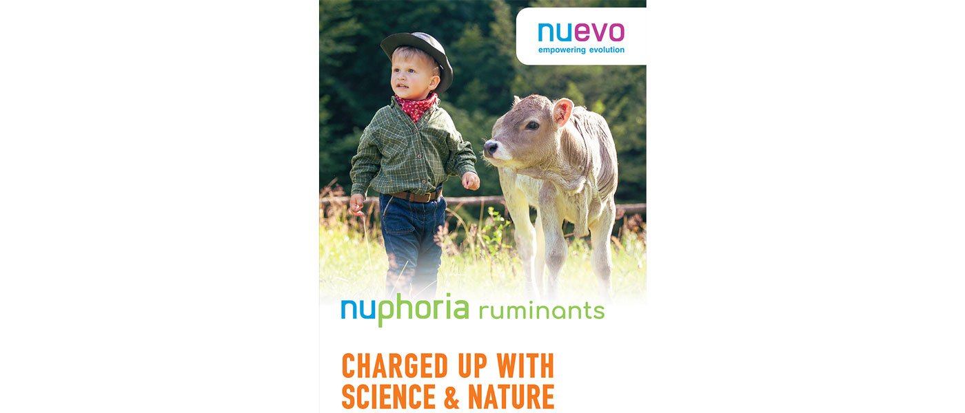 nuevo nuphoria ruminants