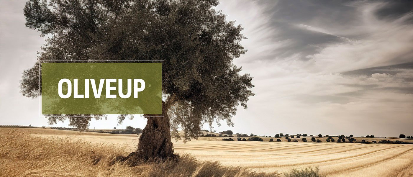 Επιχειρησιακή Ομάδα OLIVEUP