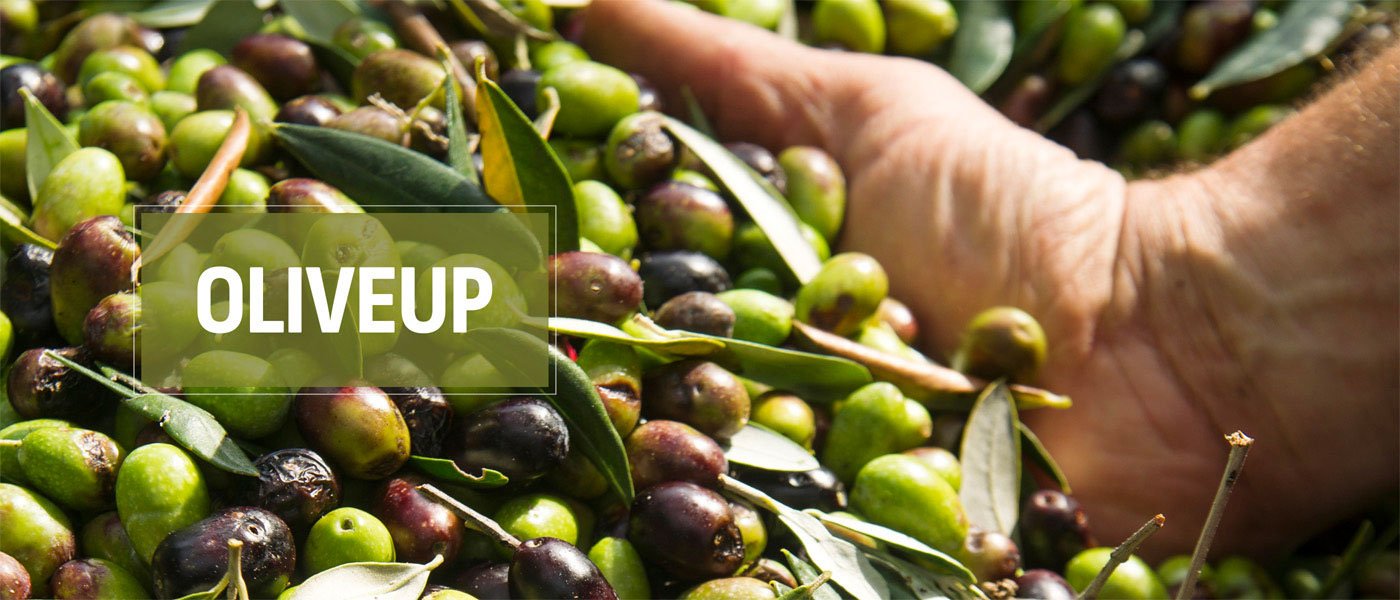 Επιχειρησιακή Ομάδα OLIVEUP