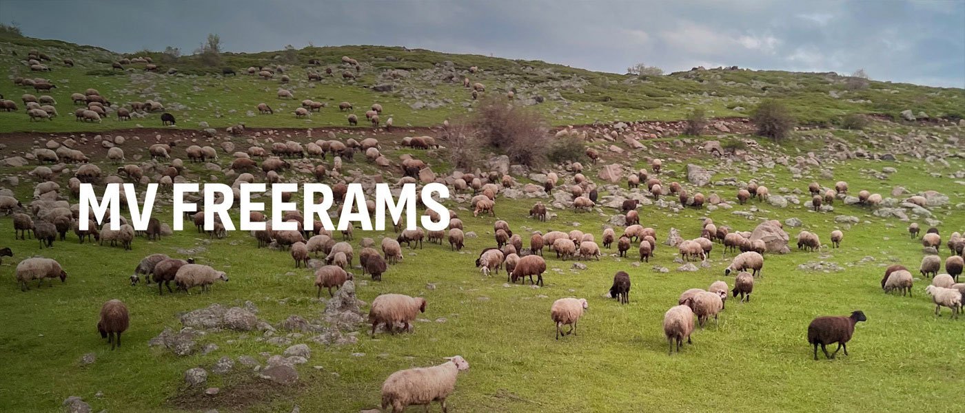 Επιχειρησιακή Ομάδα MVFREE RAMS