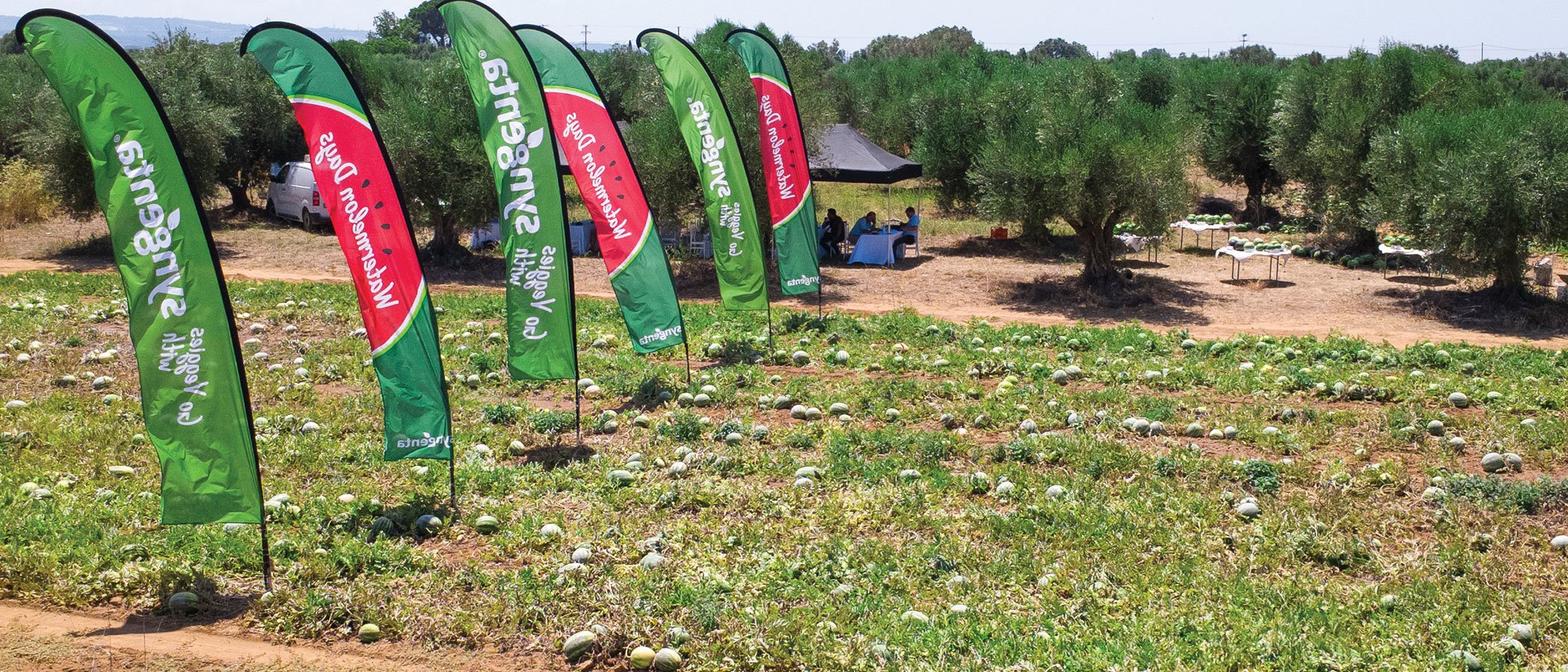 Syngenta