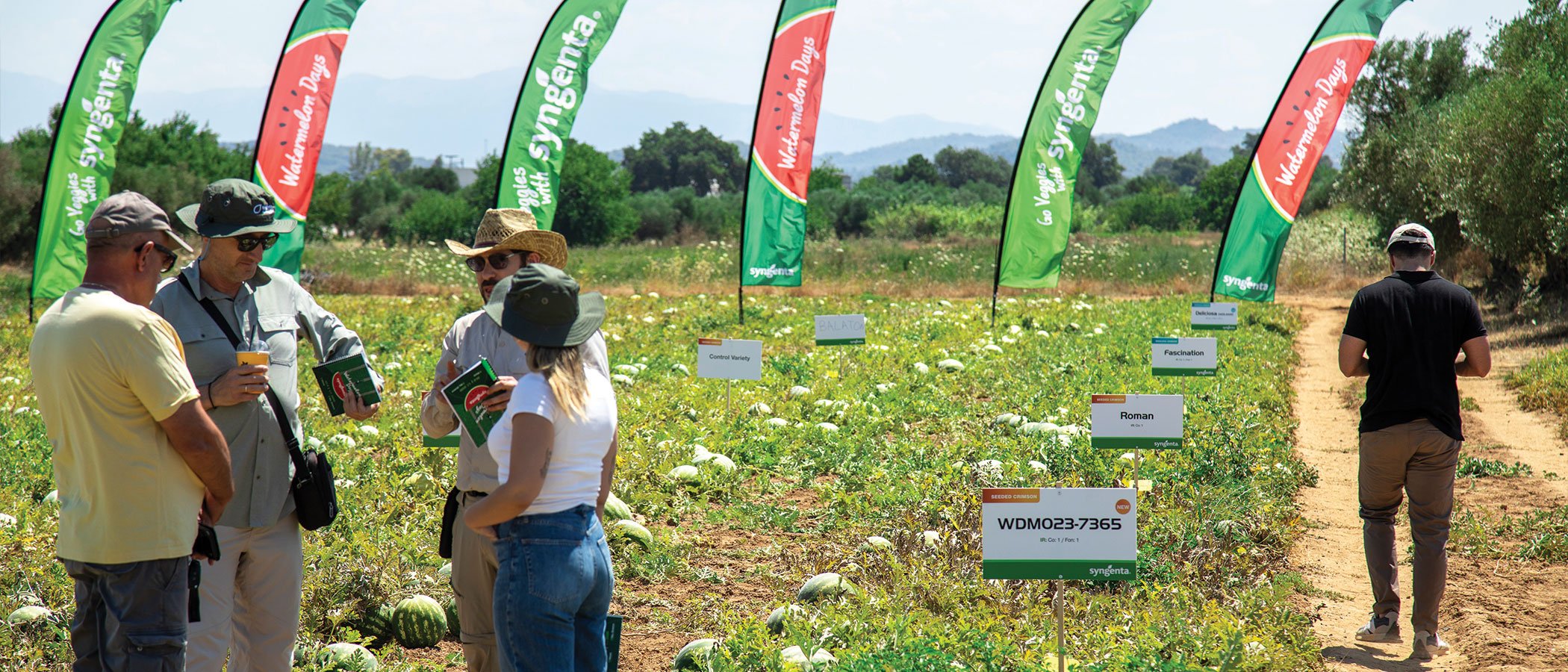 Syngenta