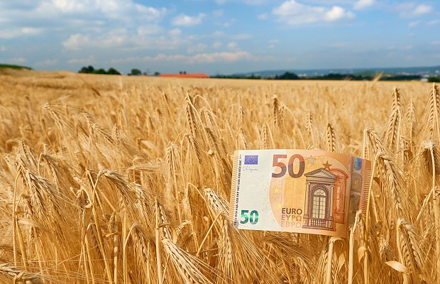 Τις πληρωμές Νοεμβρίου ανακοίνωσε ο Κέλλας, αφορούν προκαταβολή τσεκ, ΕΦΚ πετρελαίου, αποζημιώσεις ΕΛΓΑ και Μέτρο 23