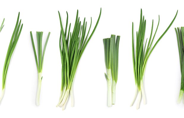 Φρέσκο κρεμμύδι: Σταθερή ζήτηση, αλλά υψηλό κόστος και περιορισμένα περιθώρια