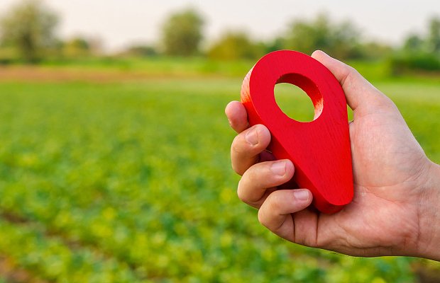 15 ημέρες δίνει η ΑΑΔΕ περιθώριο για διορθώσεις σε ενοικιαστήρια αλλιώς έρχονται ποινές, απλήρωτα παραμένουν τα δασικά