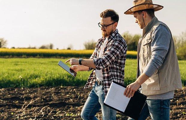 Την επόμενη εβδομάδα θα γίνει πληρωμή από ΟΠΕΚΕΠΕ, παραμένουν τα προβλήματα με εθνικό απόθεμα