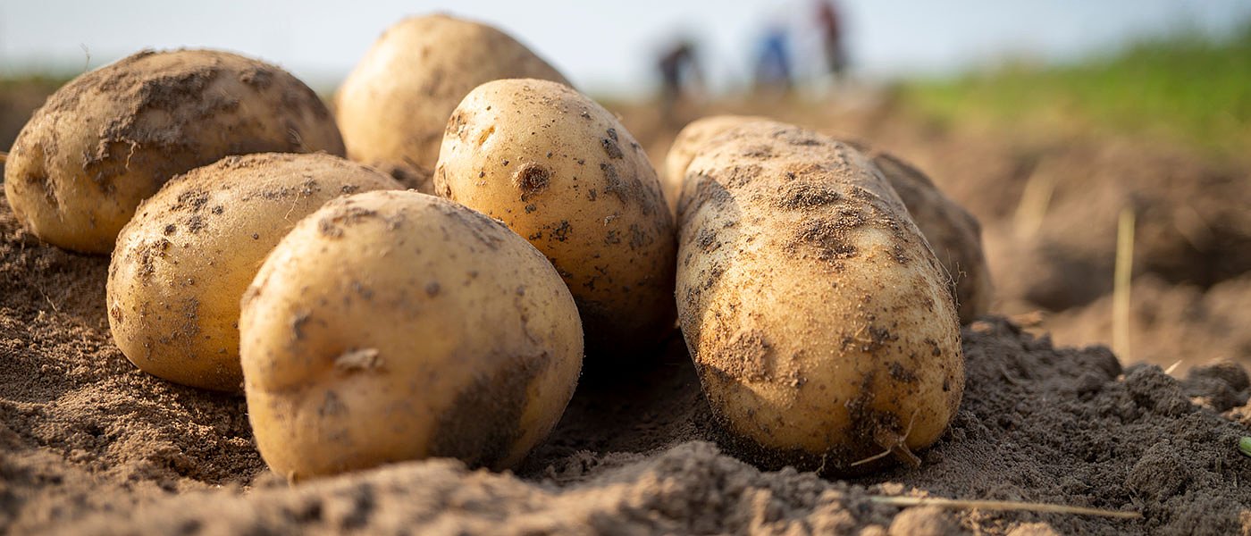 Αύξηση εισαγωγών από τρίτες χώρες, κυρίως σε πατάτες, ντομάτες και λεμόνια
