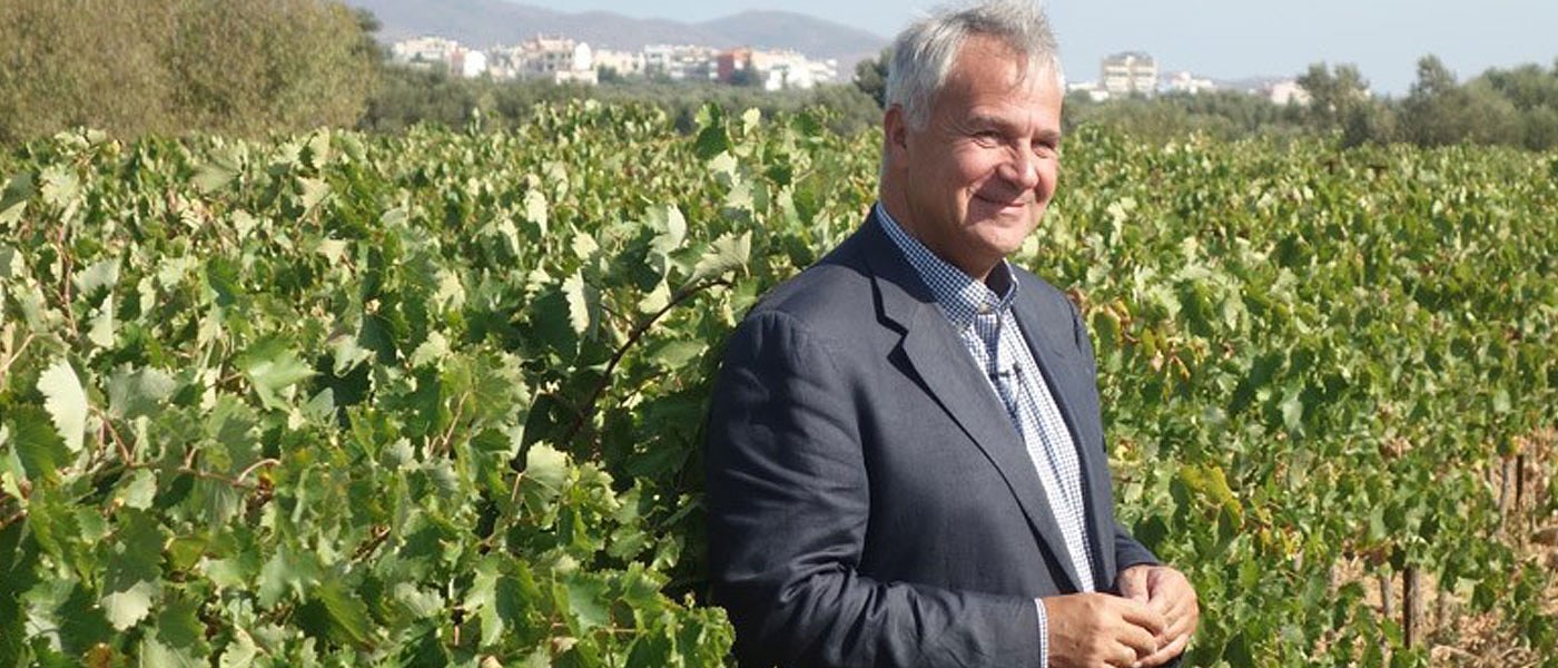 Κατανέμονται οι νέες άδειες φύτευσης αμπέλου από ΥπΑΑΤ, αντιδράσεις από ΚΕΟΣΟΕ