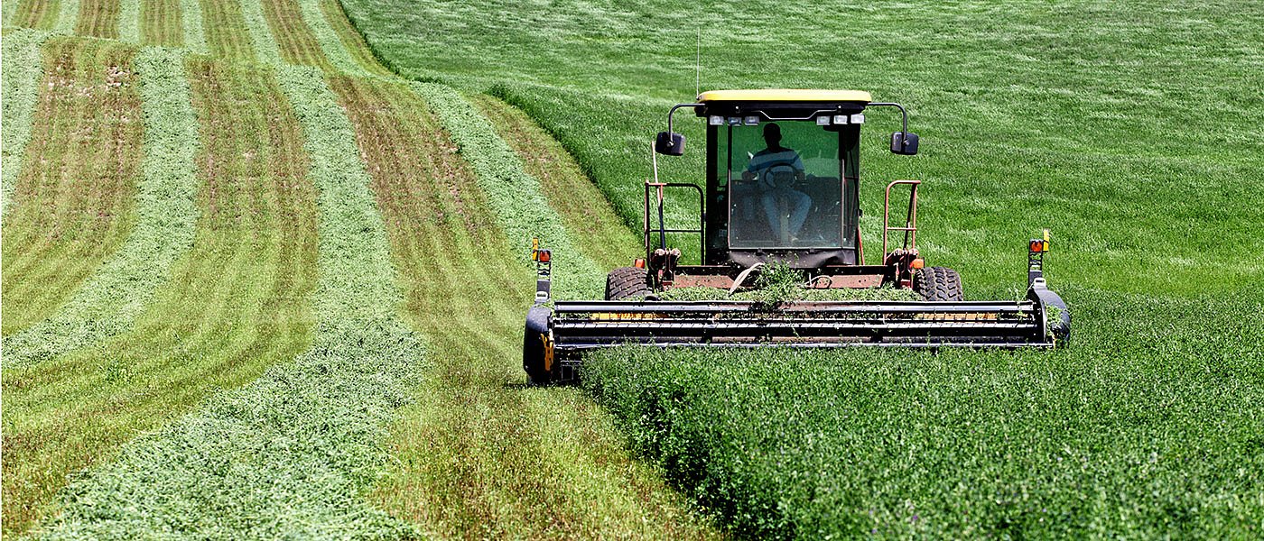 Ακριβή η ενοικίαση γεωργικής γης στην Ελλάδα δείχνουν τα στοιχεία της Eurostat