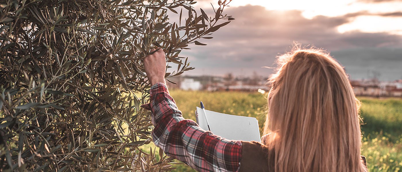 Κρίσιμος ο ψεκασμός της Άνοιξης για να αντιμετωπιστεί το γλοιοσπόριο
