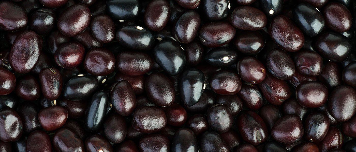 Πήραν φωτιά τα ελαιοτριβεία, οι παραγωγοί με Καλαμών ελαιοποιούν μαζικά τη σοδειά