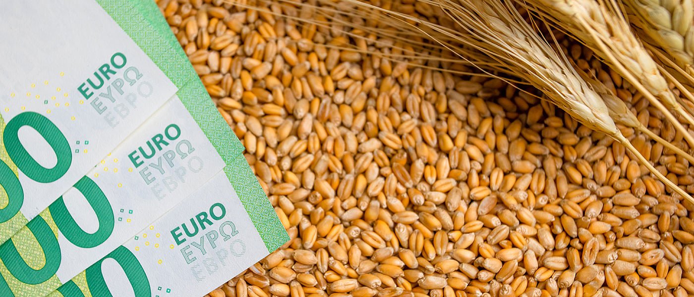 Οι υψηλές τιμές σκληρού σίτου μπλοκάρουν τις εξαγωγές της Τουρκίας, αποθέματα τέλος 2024