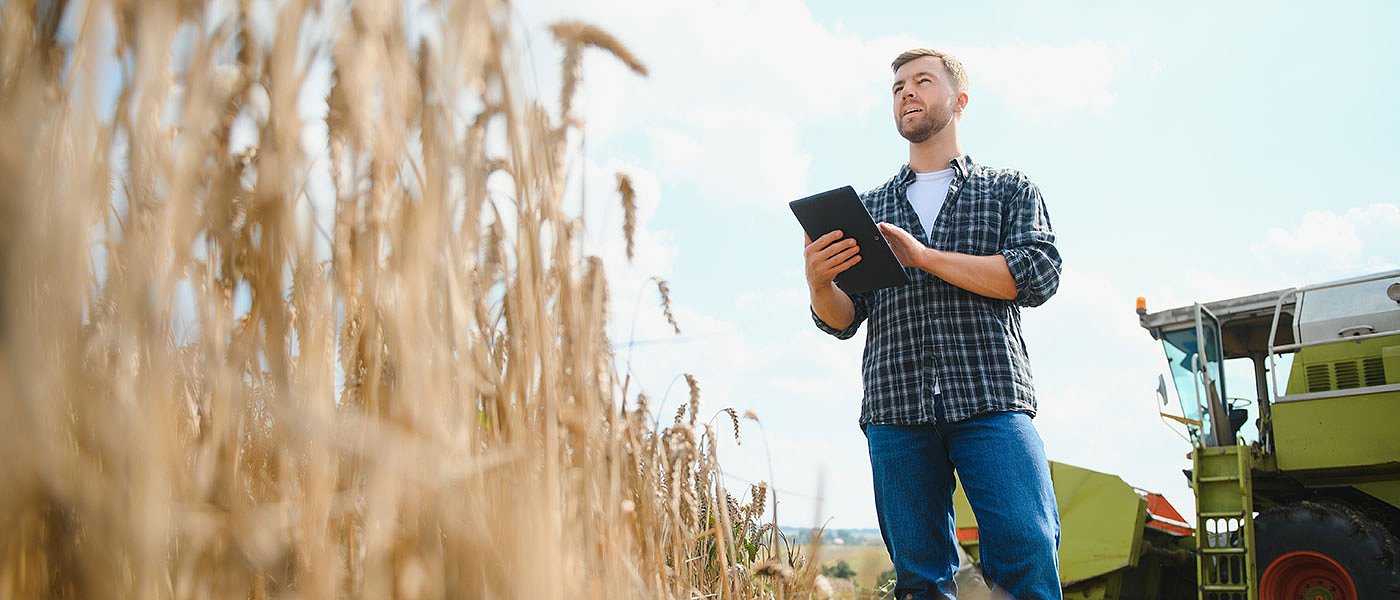 Κριθάρι: Μειωμένη παραγωγή στη Θεσσαλία-από 20 λεπτά για ζυθοποιία