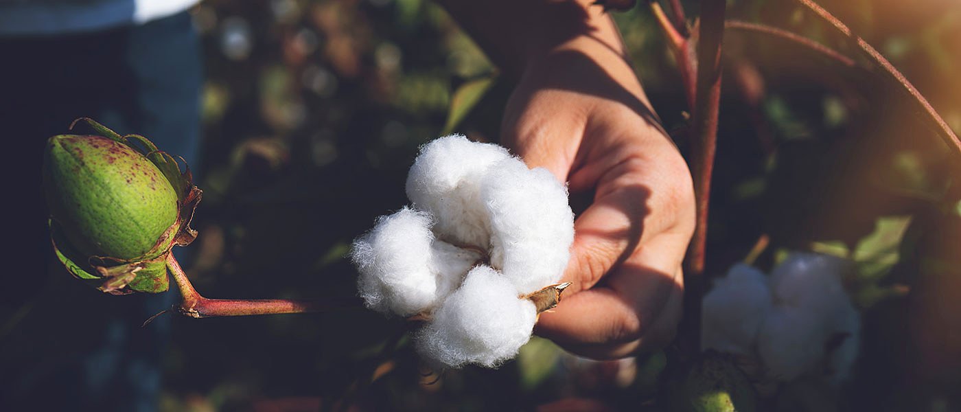 Στήριξη του κλάδου υποσχέθηκε ο Τσιάρας στο 5ο Πανελλήνιο Συνέδριο για το Βαμβάκι