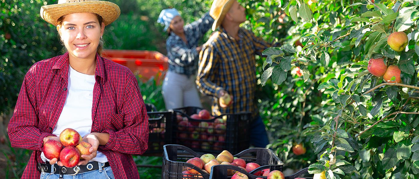 De minimis 4 εκ. ευρώ στα μήλα Αγιάς, οι σερβικές εξαγωγές κρίνουν και φέτος τις τιμές