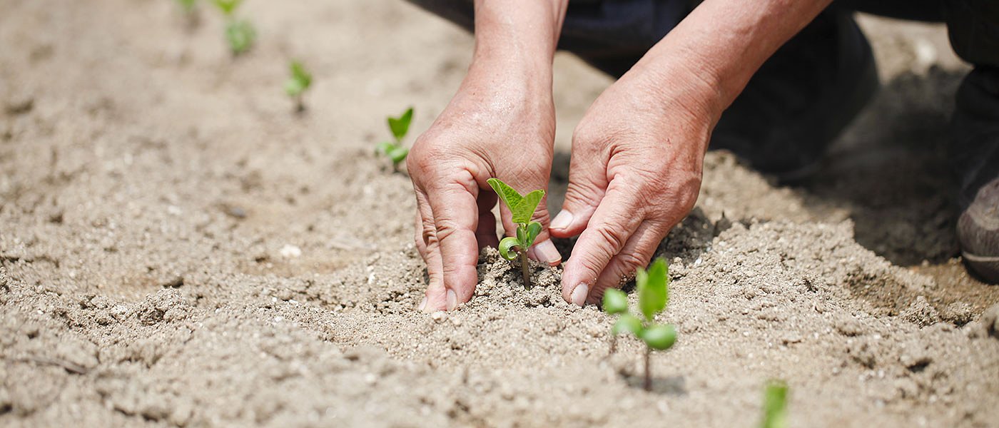 Ξεκίνησε με μεγάλο ενδιαφέρον η 8η Πανελλήνια Συνάντηση Φυτοπροστασίας στην Λάρισα