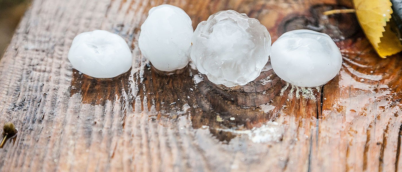 Σύντομα ξεκινά αναλογιστική μελέτη για τον ΕΛΓΑ λέει ο Βορίδης