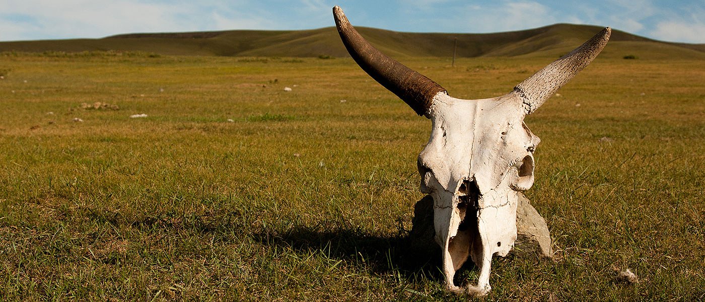 Τι θα πρέπει να κάνουν οι κτηνοτρόφοι με τα νεκρά ζώα για να μην έχουν ποινή