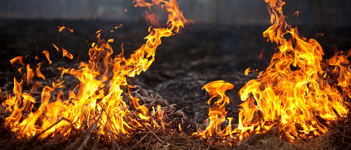 Προκαταβολές αποζημιώσεων 15,6 εκ. ευρώ λόγω πυρκαγιών, δικαιούχοι και ποσά