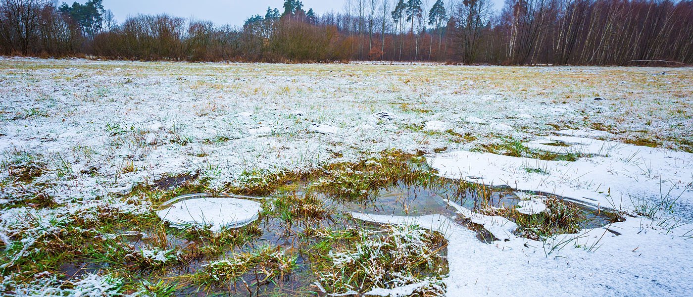 Λιβανός: Αποζημίωση ΕΛΓΑ σε μια... δόση