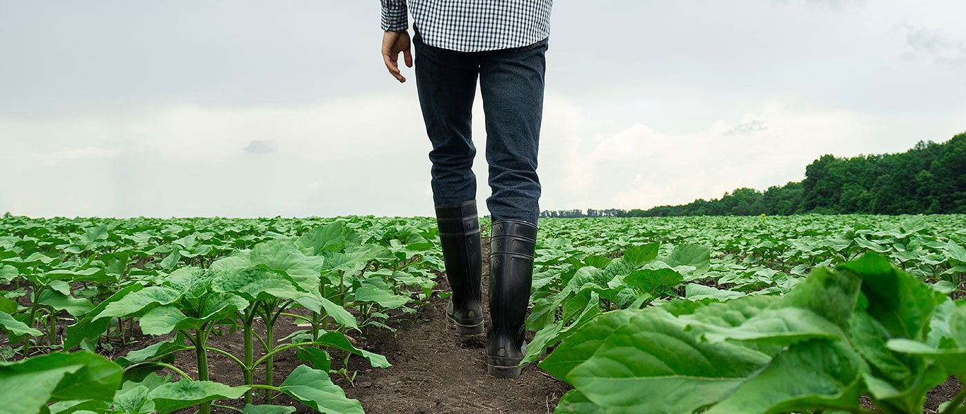 Κουπόνι ή μέσω τιμολογίων μελετά το ΥπΑΑΤ ενίσχυση αγοράς λιπασμάτων, ποσό 70 εκ. ευρώ