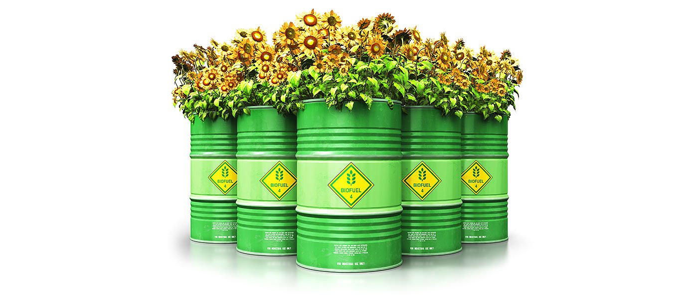 Η κυβέρνηση να ασχοληθεί σοβαρά με τα προβλήματα στις ενεργειακές καλλιέργειες