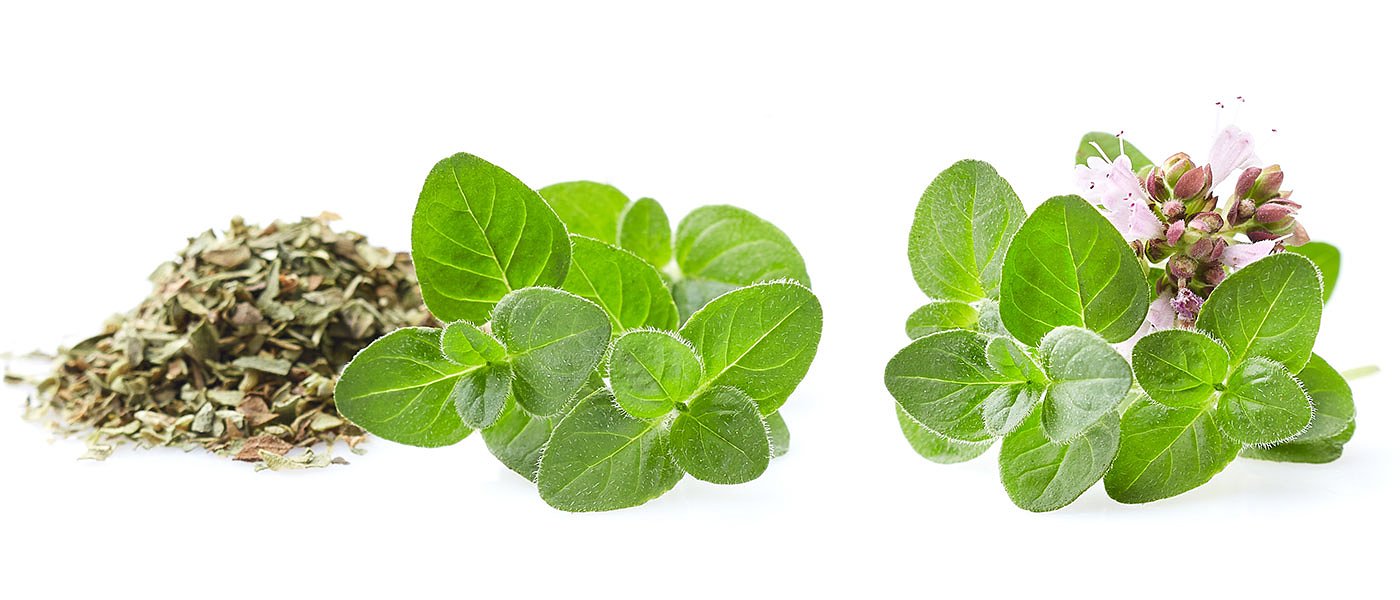 Το καλοκαίρι έφερε αύξηση της ζήτησης για ρίγανη που κερδίζει στρέμματα λόγω... νερού