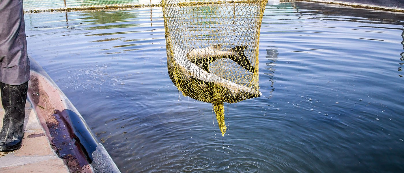 Με μεγάλη συμμετοχή η διαβούλευση για το ΠΔ για ερασιτεχνική και αθλητική αλιεία