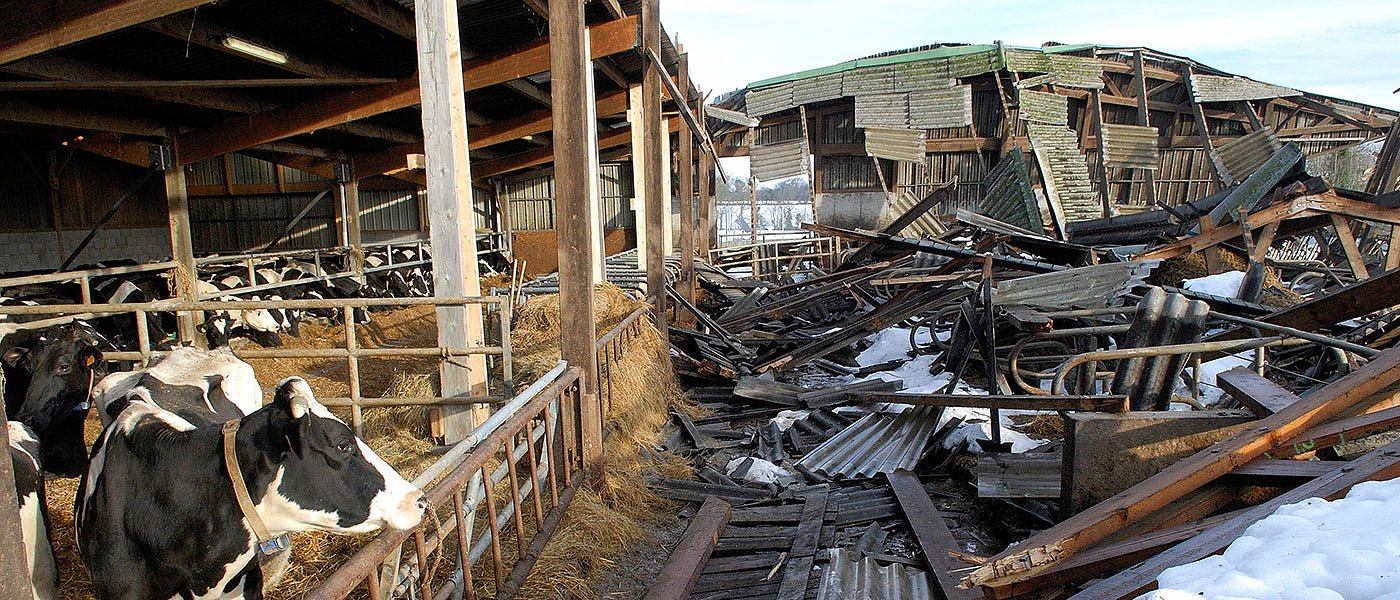 Μέχρι 12 Ιανουαρίου τροποποιήσεις και ακολουθεί προκαταβολή για ζημιές στα πάγια