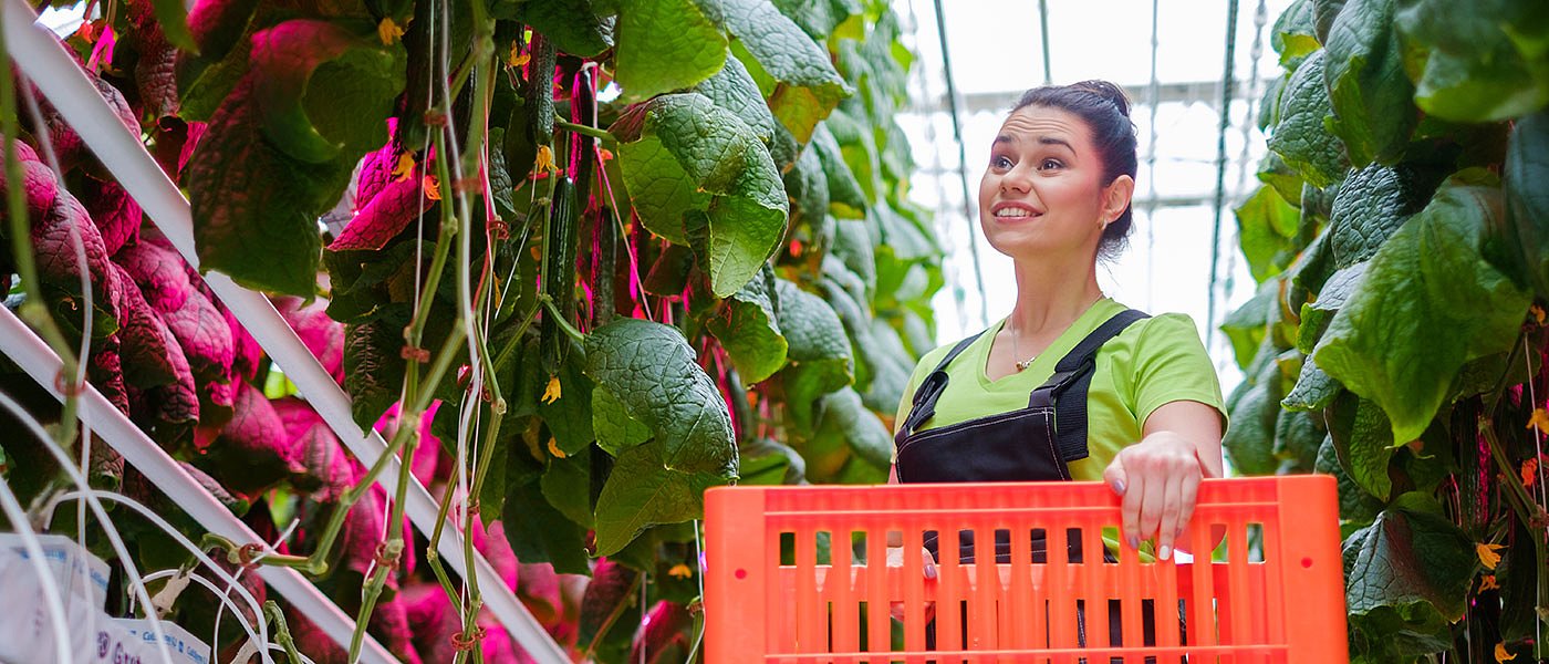 Ψηφίζεται η τροπολογία για εργάτες γης αλλά το εργατικό δυναμικό δεν αυξάνεται