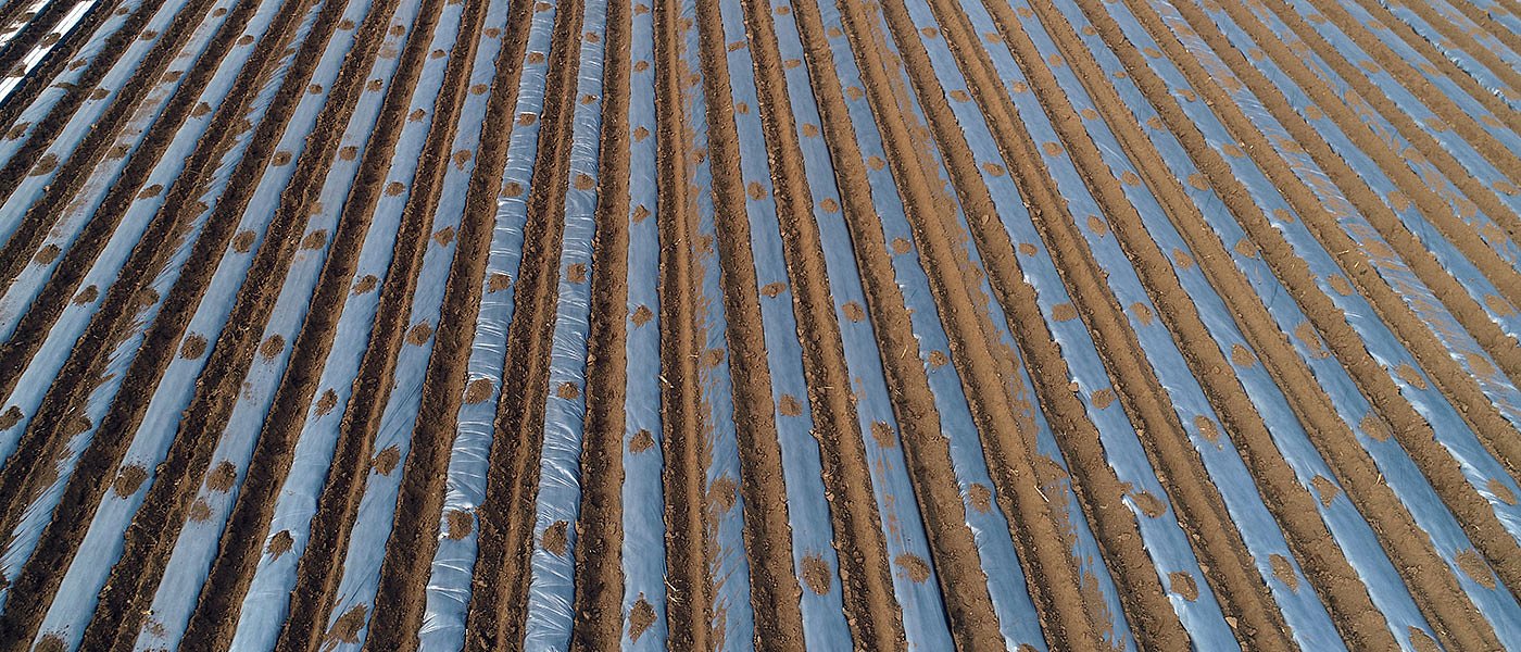 Μια πρωτοβουλία καταγραφής της επιβάρυνσης των γεωργικών εδαφών με πλαστικά