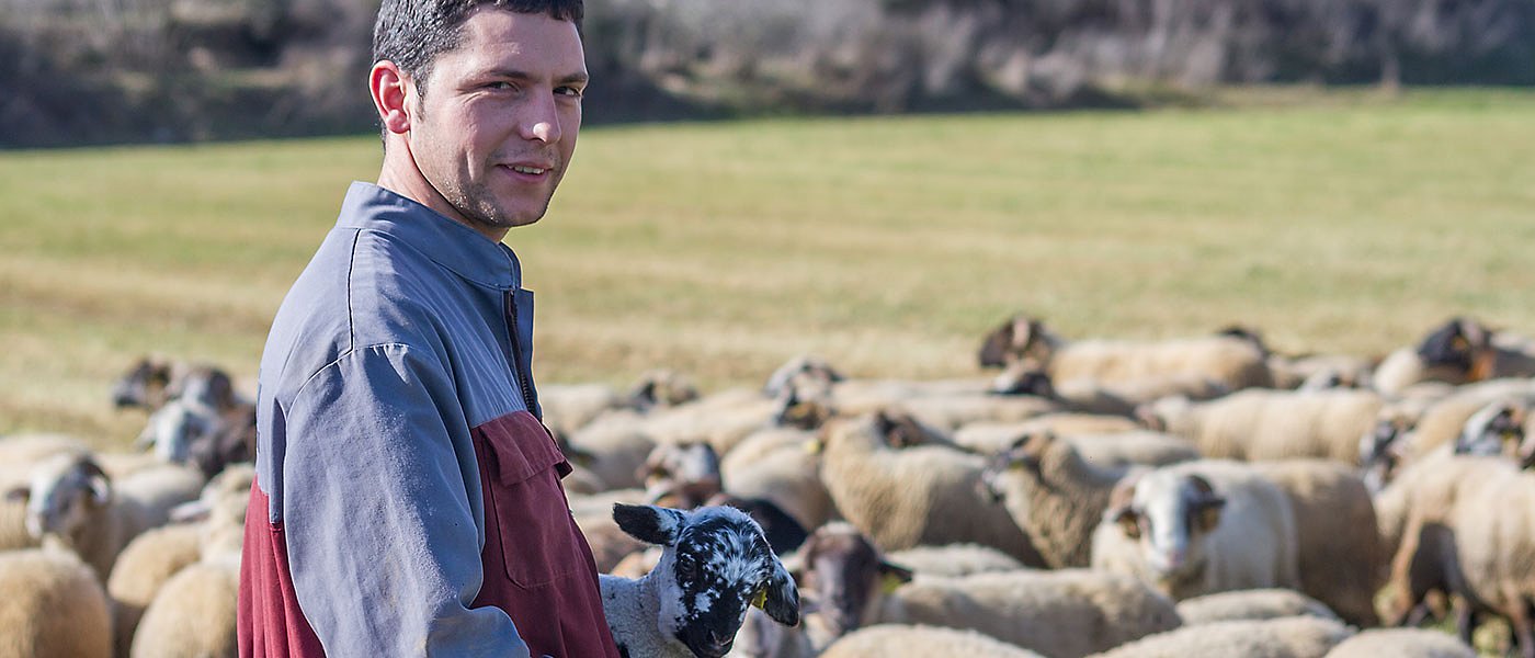 Πληρωμή βιολογικά και αυτόχθονες μέχρι τέλος του μήνα, πρέπει να γίνει απογραφή ζώων 