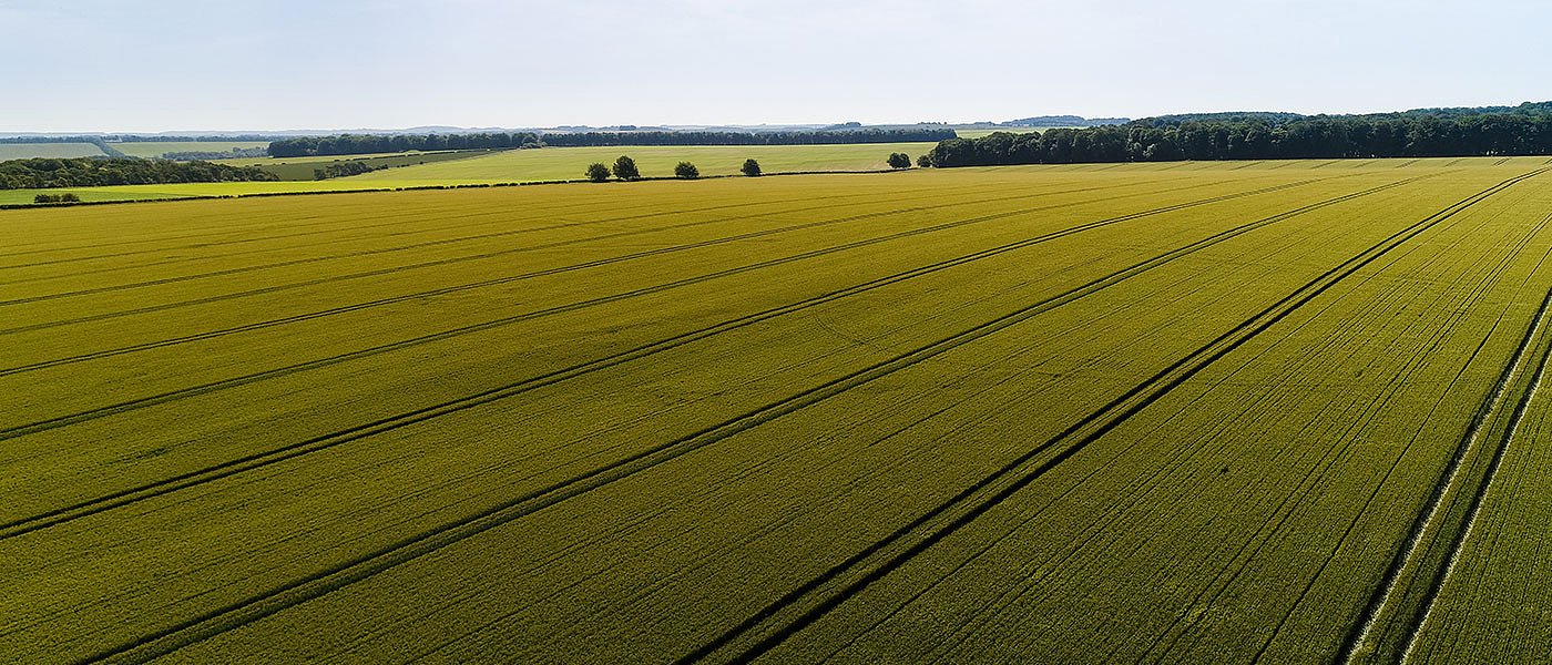 Μέχρι τέλος Ιουλίου δηλώσεις ΟΣΔΕ 2025, ΑΤΑΚ υποχρεωτικό, «αρνητική λίστα», έλεγχος ΑΑΔΕ