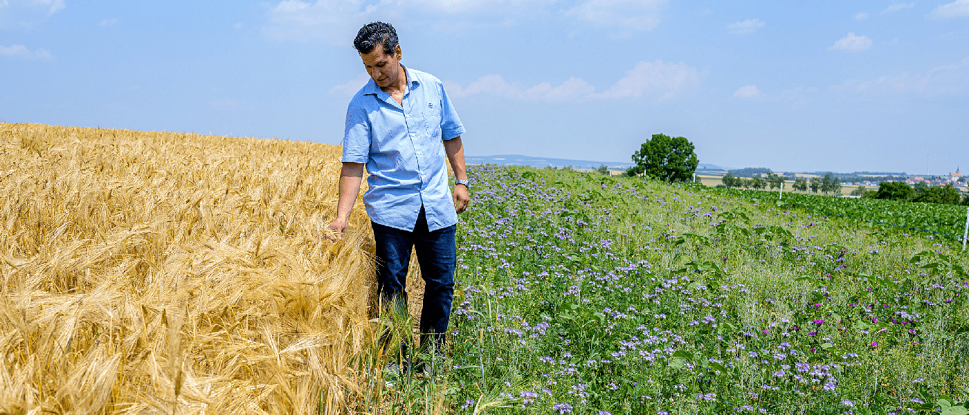 Δεν αλλάζει τίποτα σε σχέση με το Εθνικό Απόθεμα του 2021, νέα εγκύκλιος ΟΠΕΚΕΠΕ