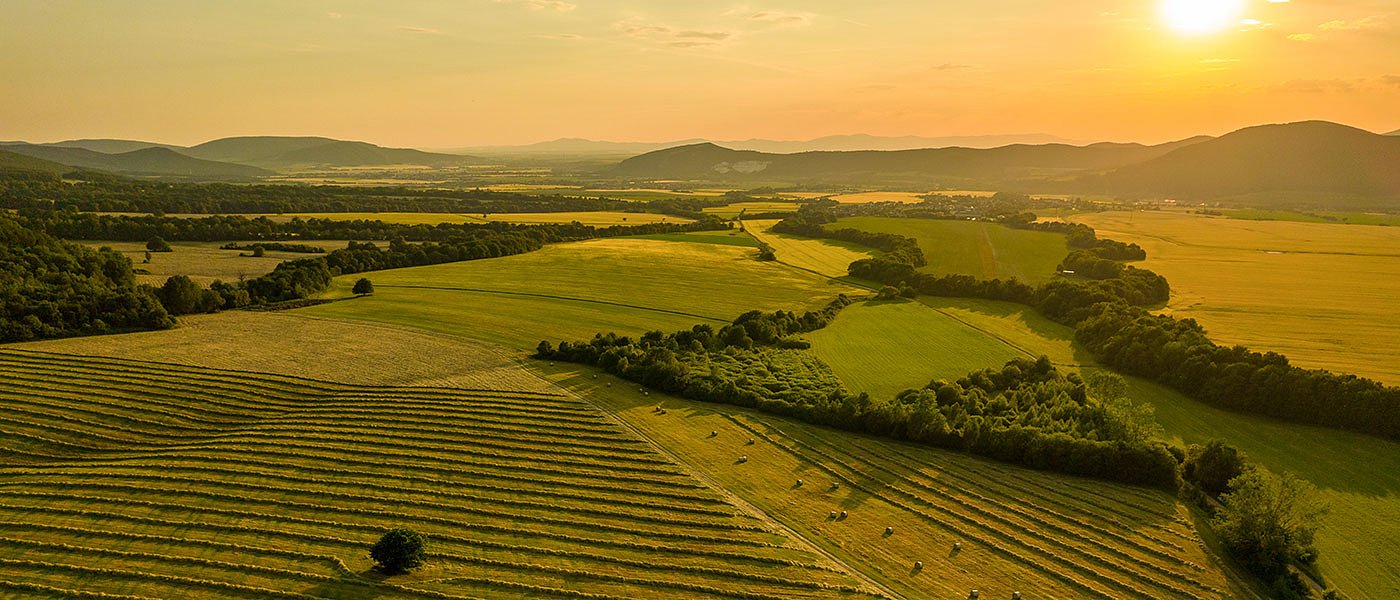 Δεν ξεχνάμε φέτος στο ΟΣΔΕ το μισθωτήριο, τι γίνεται με ΑΤΑΚ