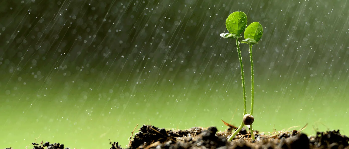 Ισχυρές βροχές και καταιγίδες προβλέπει η ΕΜΥ για το επόμενο διήμερο, ποιες περιοχές θα πλήξουν