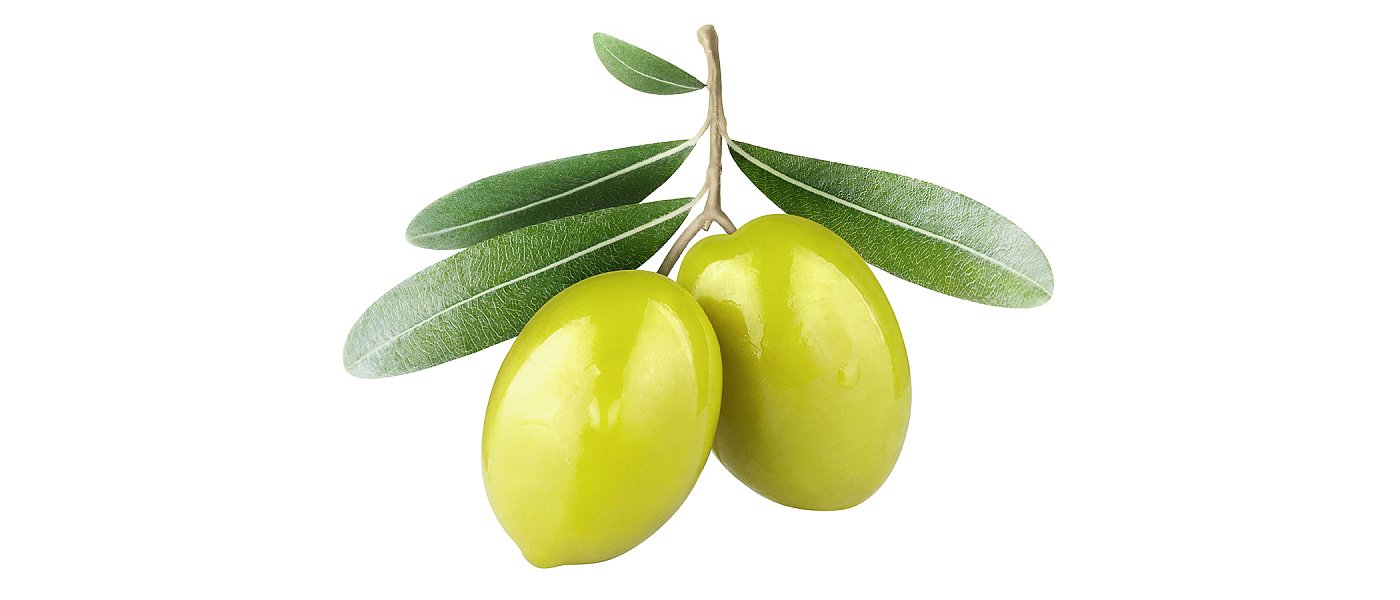 Ανακοινώθηκαν τιμές για τις πράσινες Κονσερβολιές (Χονδροελιές), οι βροχές βοήθησαν την παραγωγή που όμως είναι μειωμένη